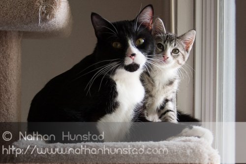 ???? and ???? wondering who that guy with the camera is